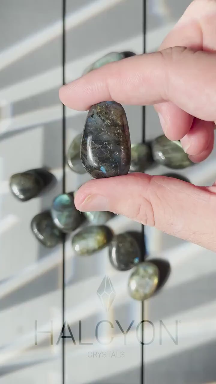 One (1) Mini Labradorite Crystal Tumble | Intuitively Chosen | Tiny Natural Lab | Hand Carved | Meditation & Crystal Healing