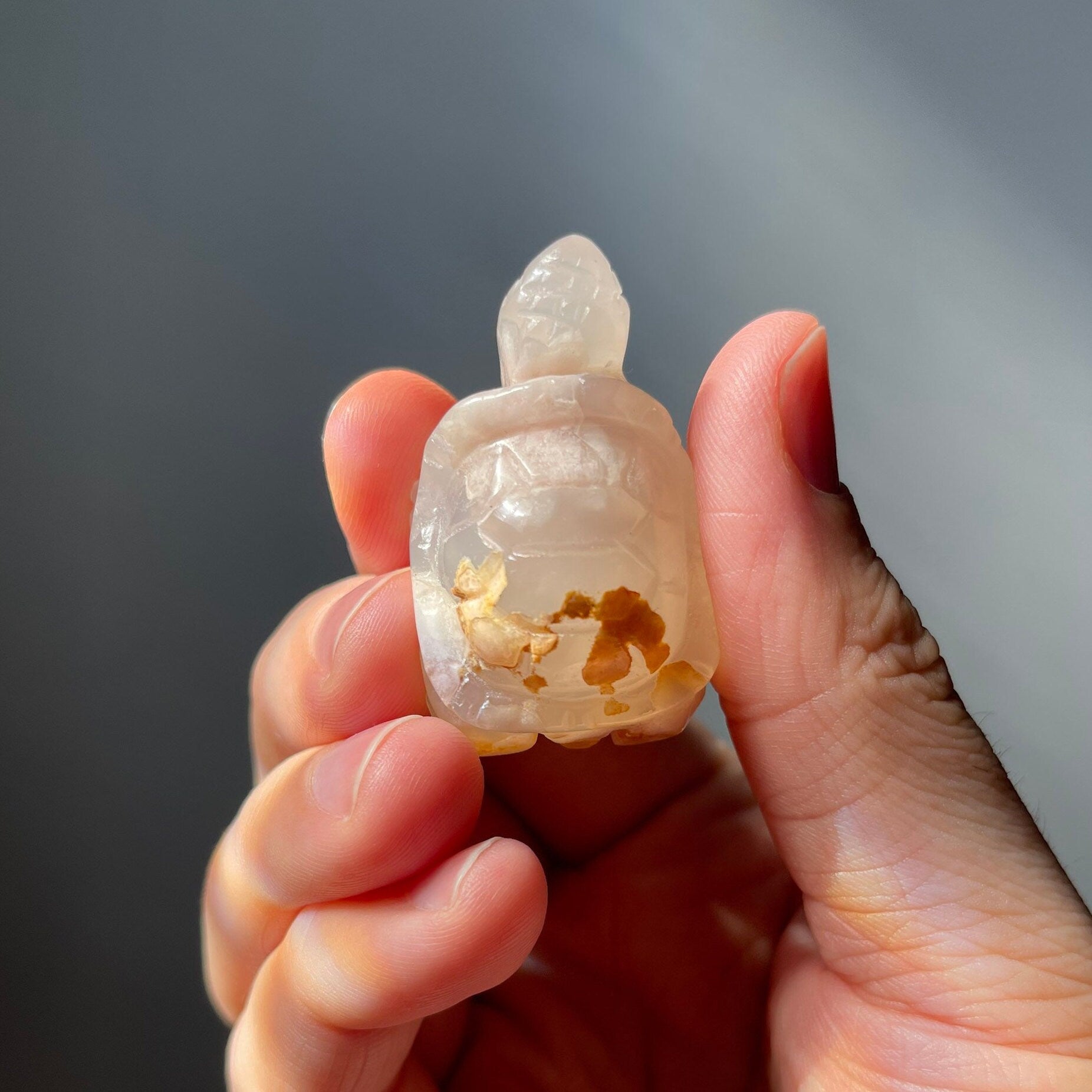 Cute Flower Agate Turtle | Hand Carved | Great Gift | Meditation Crystal