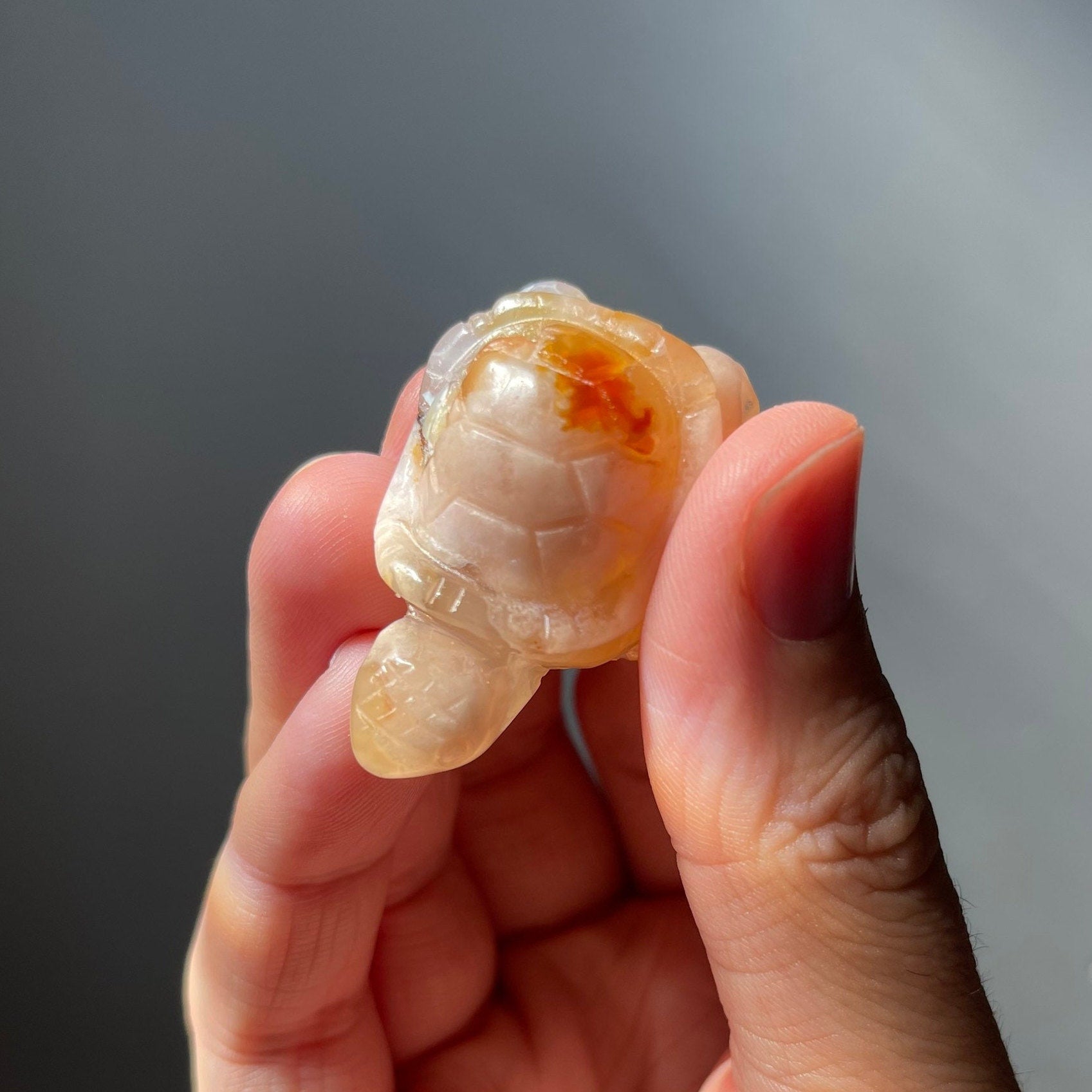 Cute Flower Agate Turtle | Hand Carved | Great Gift | Meditation Crystal