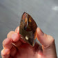 Genuine Smoky Citrine Point | Crystal Tower | From Brazil | Healing & Crystal Wand