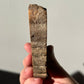 Natural Petrified Wood Slab | Mitten/Michigan Shape | Natural Crystal | Meditation & Healing Crystal