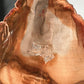 Natural Petrified Wood Slab | Arrowhead Shape | Natural Crystal | Meditation & Healing Crystal