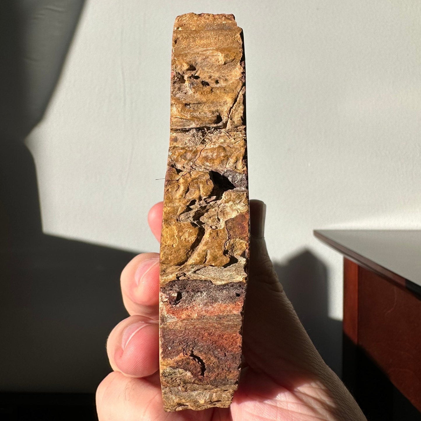 Natural Petrified Wood Slab | Arrowhead Shape | Natural Crystal | Meditation & Healing Crystal