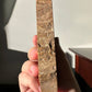 Natural Petrified Wood Slab | Arrowhead Shape | Natural Crystal | Meditation & Healing Crystal